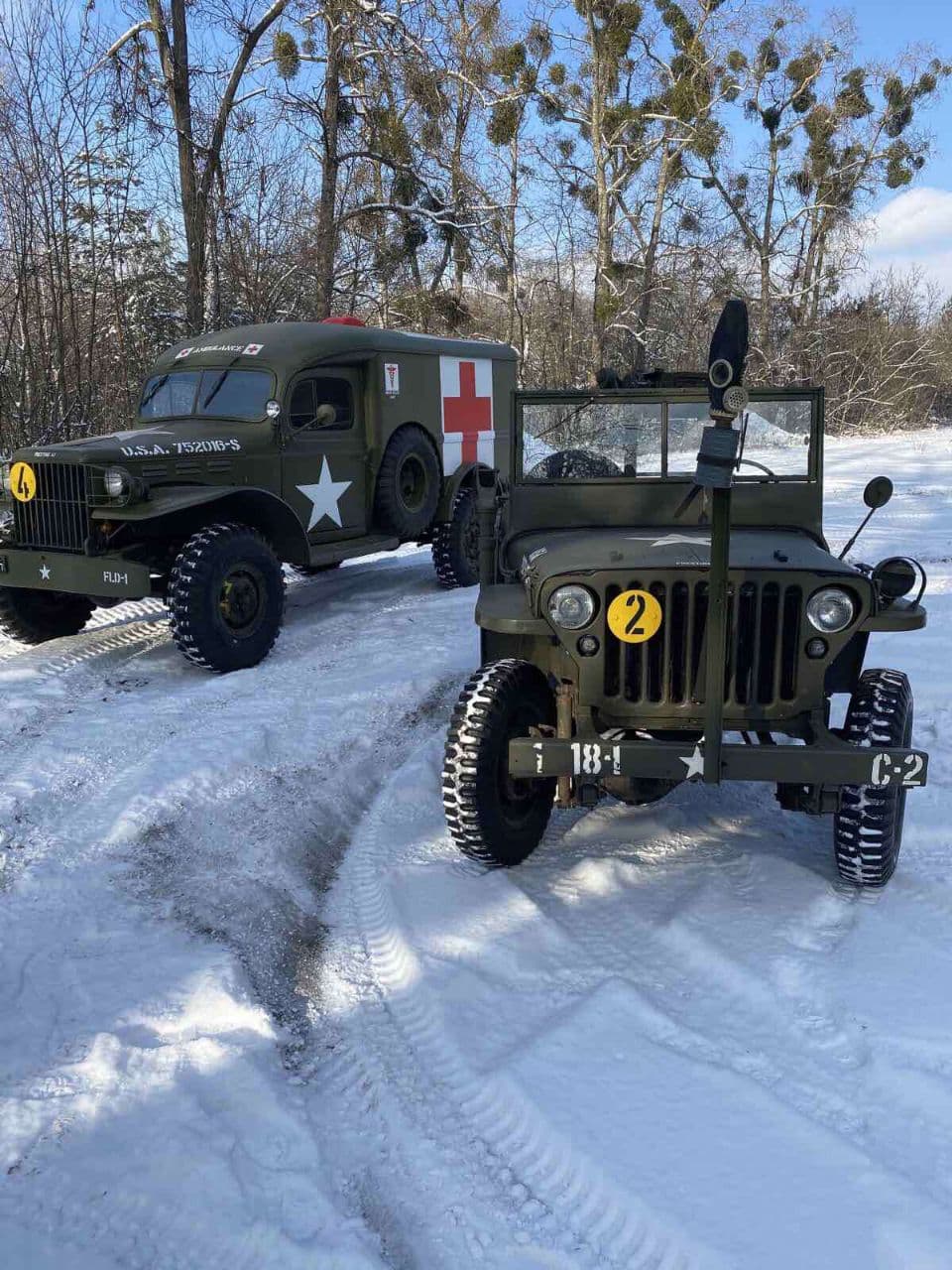 Зимова прогулянка